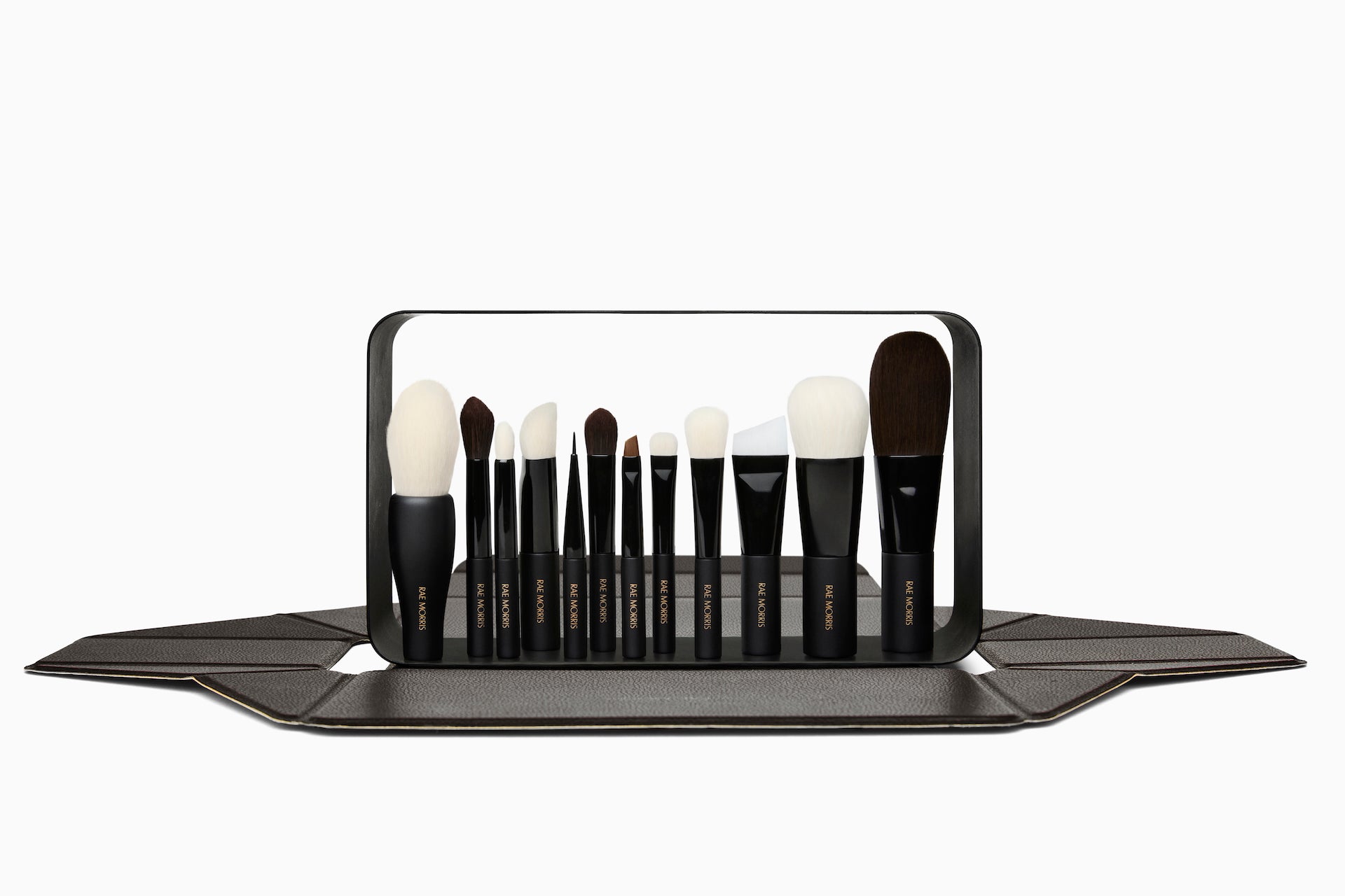 PRO TRAVEL BRUSH SET (12 Piece)