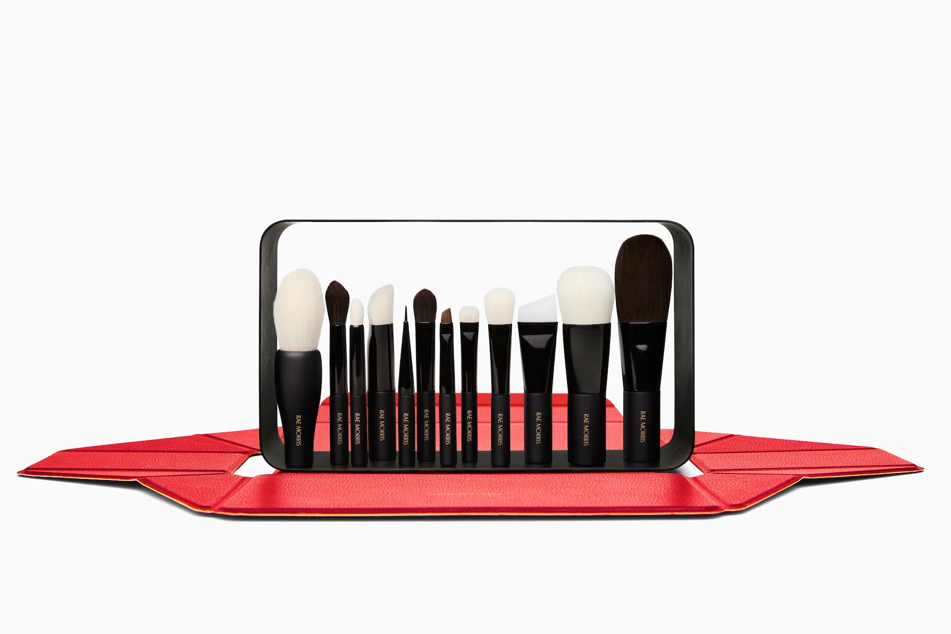 PRO TRAVEL BRUSH SET (12 Piece)