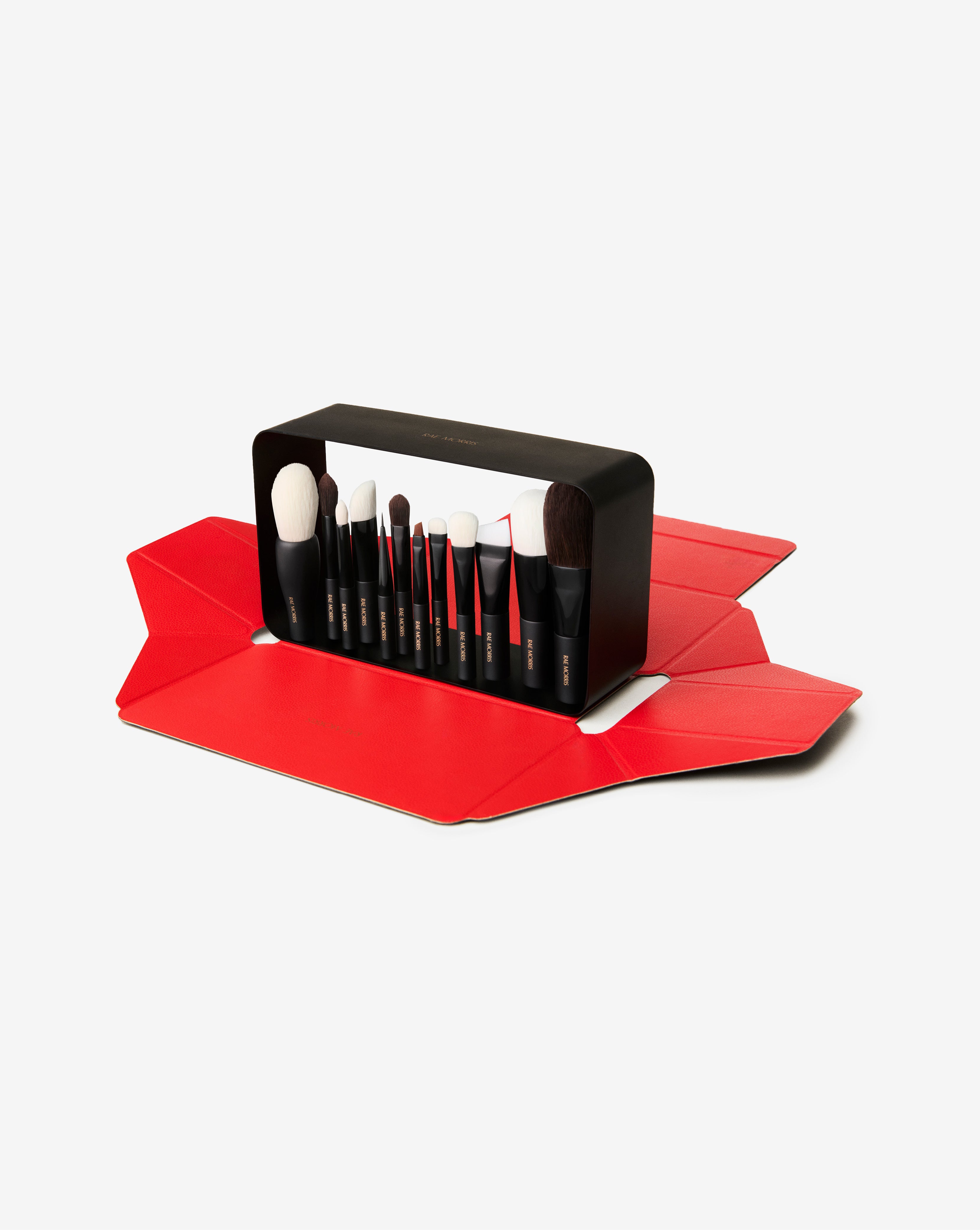 PRO TRAVEL BRUSH SET (12 Piece)